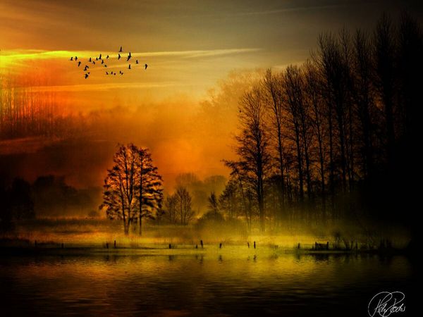 Produktbild: CALVENDO Puzzle V&ouml;gel fliegen &uuml;ber dem dunklen See | 1000 Teile Lege-Gr&ouml;&szlig;e 64x48cm Foto-Puzzle f&uuml;r gl&uuml;ckliche Stunden