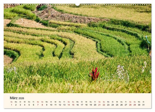 Produktbild: Sulawesi Im Reich der Torajas (Wandkalender 2026 DIN A2 quer), CALVENDO Monatskalender