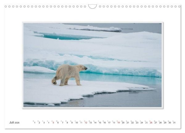 Produktbild: Emotionale Momente: Der Eisb&auml;r. (Wandkalender 2026 DIN A3 quer), CALVENDO Monatskalender