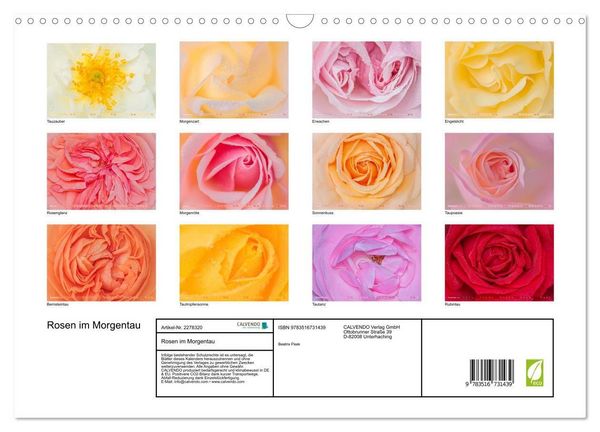 Produktbild: Rosen im Morgentau (Wandkalender 2026 DIN A3 quer), CALVENDO Monatskalender