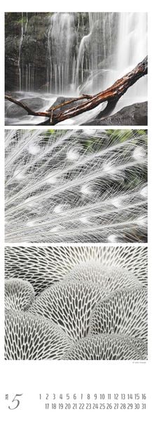 Produktbild: Colours of Nature - Triplets 2026 - Streifenkalender XXL 25x69 cm - Bildkalender im Hochformat - Naturkalender - Wandkalender - Wandplaner