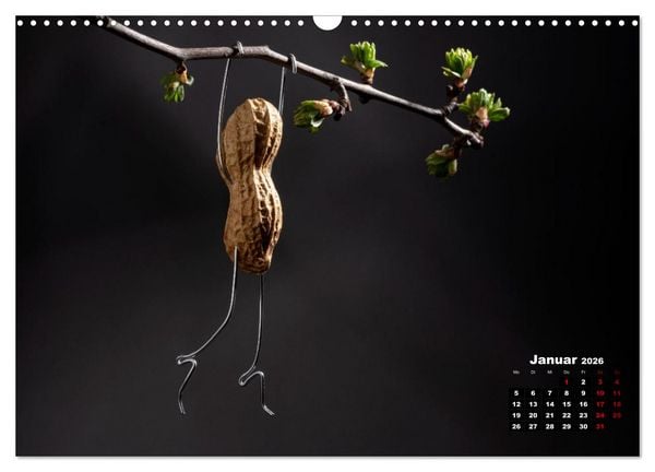 Produktbild: Erdnussm&auml;nnchen Geschichten. (Wandkalender 2026 DIN A3 quer), CALVENDO Monatskalender