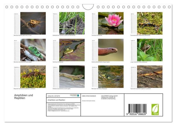 Produktbild: Amphibien und Reptilien (Wandkalender 2026 DIN A4 quer), CALVENDO Monatskalender