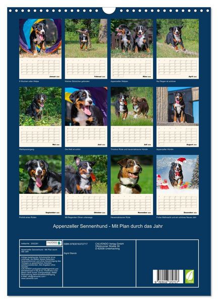 Produktbild: Appenzeller Sennenhund - Mit Plan durch das Jahr (Wandkalender 2026 DIN A3 hoch), CALVENDO Monatskalender