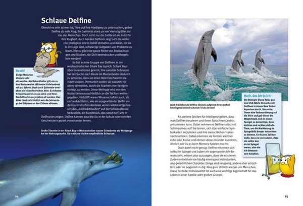 Produktbild: Entdecke die Delfine