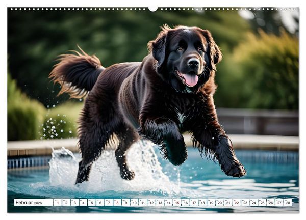 Produktbild: Begeisterte Wasserratten (hochwertiger Premium Wandkalender 2026 DIN A2 quer), Kunstdruck in Hochglanz