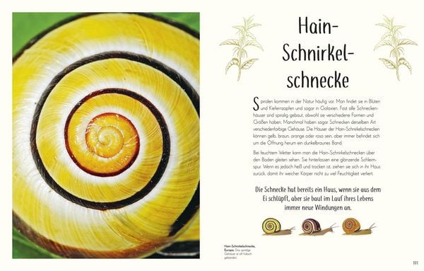 Produktbild: Wundervolle Welt der Insekten und Spinnentiere