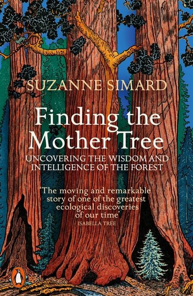 Produktbild: Finding the Mother Tree