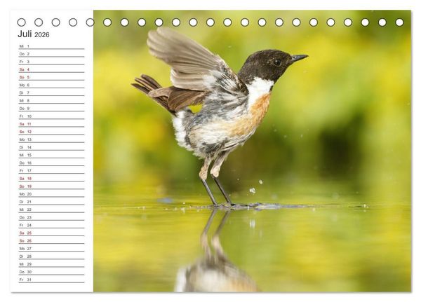 Produktbild: Faszinierendes Bulgarien (Tischkalender 2026 DIN A5 quer), CALVENDO Monatskalender
