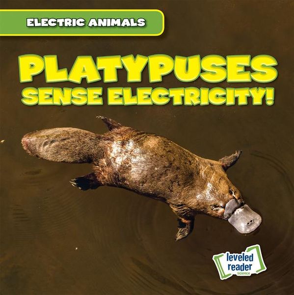 Produktbild: Mallory, L: Platypuses Sense Electricity!