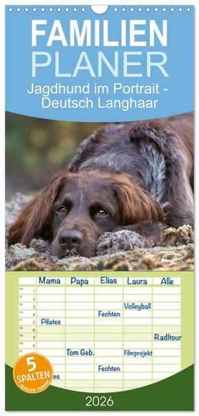Familienplaner 2026 - Jagdhund im Portrait - Deutsch Langhaar mit 5 Spalten (Wandkalender, 21 x 45 cm) CALVENDO