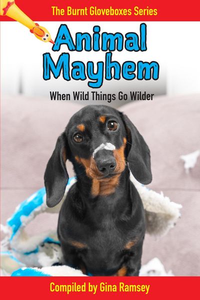 Produktbild: Animal Mayhem (Burnt Gloveboxes Series: Tales of Mishaps, Mayhem, and Murphy's Law, #3)