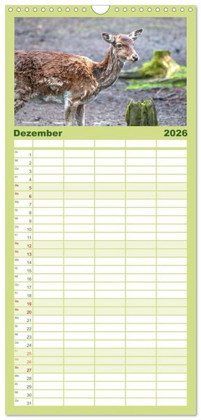Produktbild: Familienplaner 2026 - Heimische Tiere - Rehe mit 5 Spalten (Wandkalender, 21 x 45 cm) CALVENDO