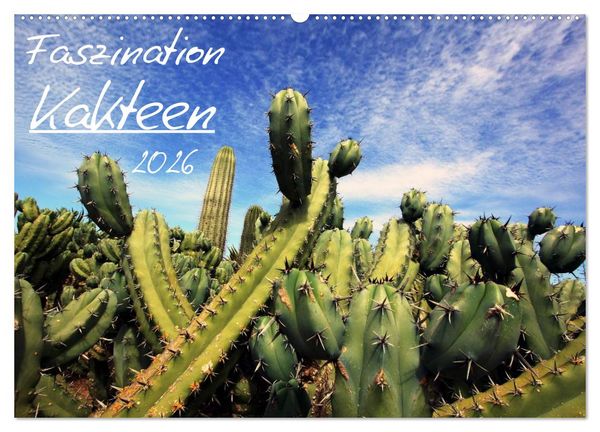 Produktbild: Faszination Kakteen (Wandkalender 2026 DIN A2 quer), CALVENDO Monatskalender