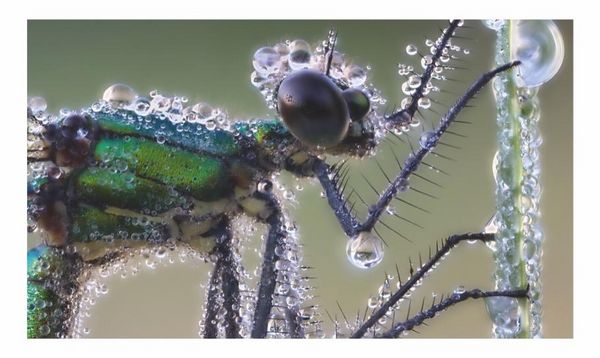 Produktbild: Verborgene Wildnis Bayern