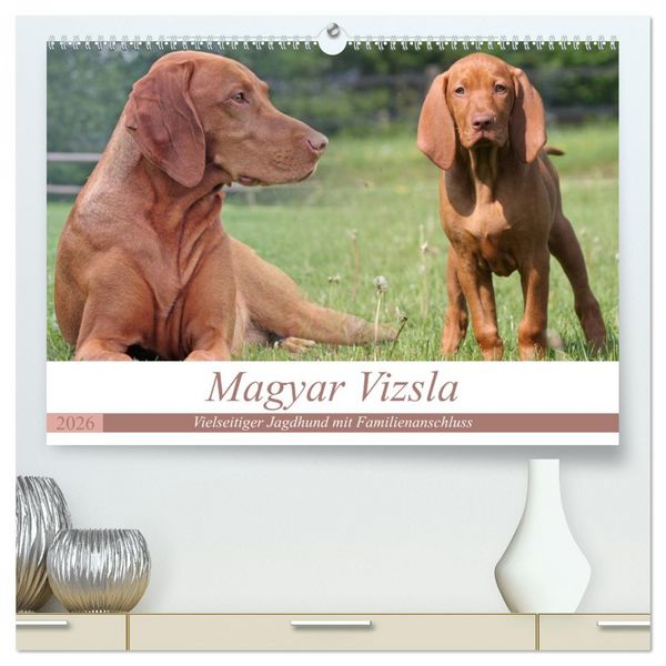 Produktbild: Magyar Vizsla - Vielseitiger Jagdhund mit Familienanschluss (hochwertiger Premium Wandkalender 2026 DIN A2 quer), Kunstdruck in Hochglanz