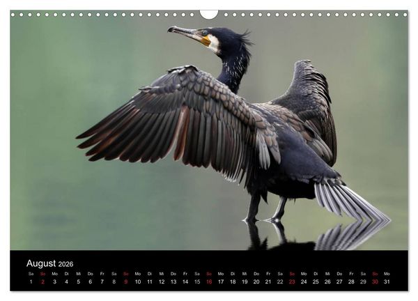 Produktbild: Tiere unserer Erde (Wandkalender 2026 DIN A3 quer), CALVENDO Monatskalender