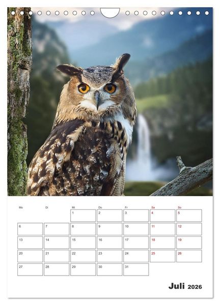 Produktbild: Eulen und K&auml;uze - Diese Wesen der Nacht (Wandkalender 2026 DIN A4 hoch), CALVENDO Monatskalender
