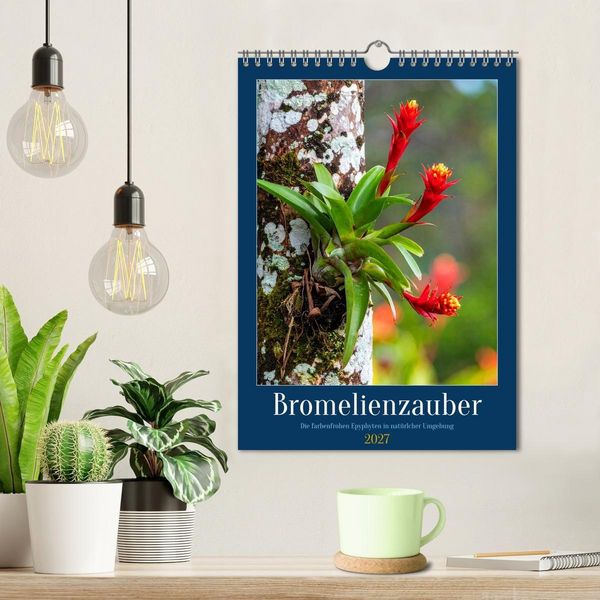 Produktbild: Bromelienzauber (Wandkalender 2027 DIN A4 hoch), CALVENDO Monatskalender