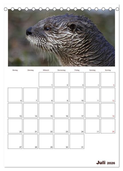 Produktbild: Der Fischotter-Terminplaner (Tischkalender 2026 DIN A5 hoch), CALVENDO Monatskalender