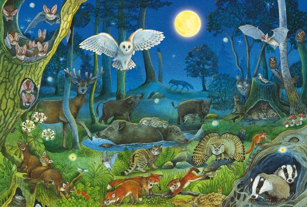 Produktbild: Tiere nachts im Wald 100 Teile