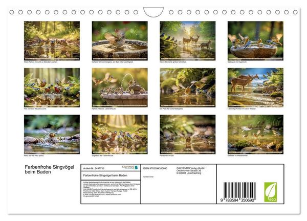 Produktbild: Farbenfrohe Singv&ouml;gel beim Baden (Wandkalender 2027 DIN A4 quer), CALVENDO Monatskalender