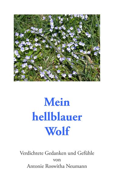 Produktbild: Mein hellblauer Wolf