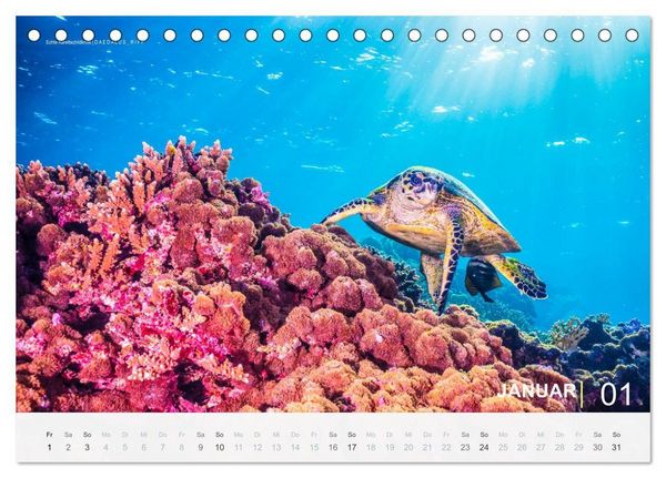 Produktbild: Die sch&ouml;nsten Korallenriffe zum Tauchen in &Auml;gypten (Tischkalender 2027 DIN A5 quer), CALVENDO Monatskalender