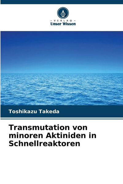 Produktbild: Transmutation von minoren Aktiniden in Schnellreaktoren
