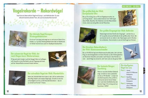 Produktbild: Erforsche die V&ouml;gel - Ihr Leben rund ums Jahr