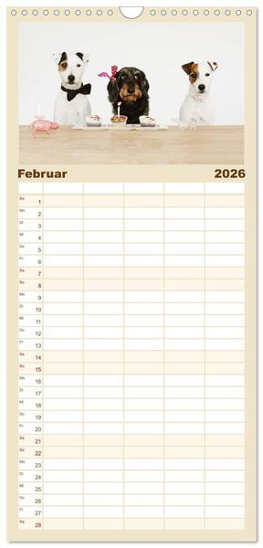 Produktbild: Familienplaner 2026 - Die Dackel daggeln.... mit 5 Spalten (Wandkalender, 21 x 45 cm) CALVENDO