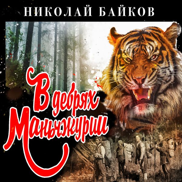 Produktbild: V debryah Manchzhurii