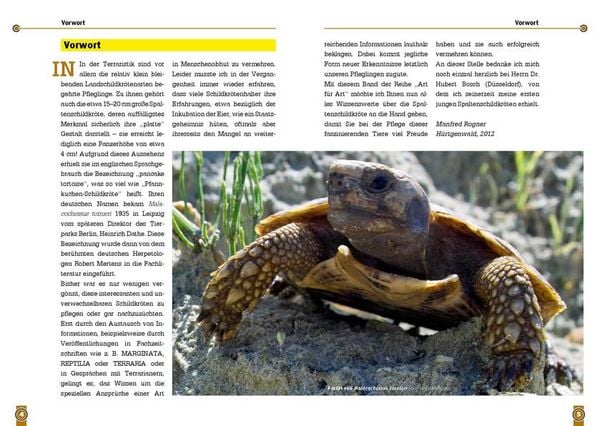 Produktbild: Die Spaltenschildkr&ouml;te