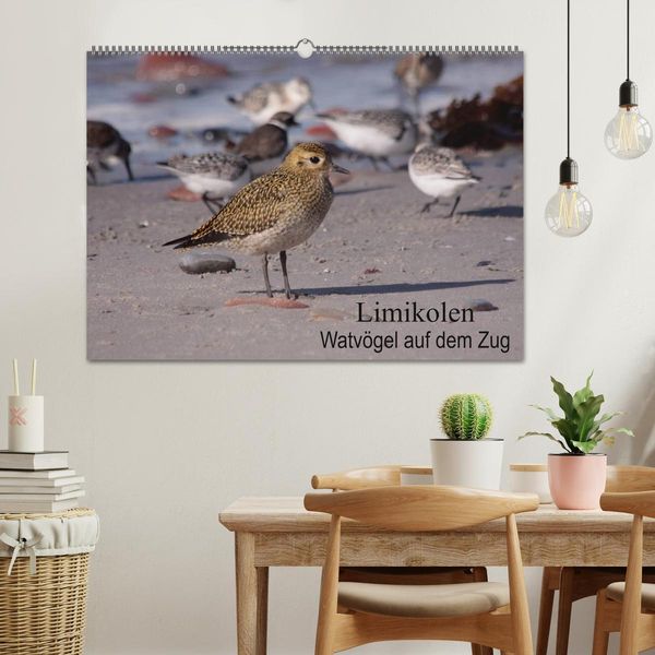 Produktbild: Limikolen Watv&ouml;gel auf dem Zug (Wandkalender 2026 DIN A2 quer), CALVENDO Monatskalender