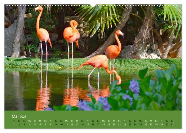 Produktbild: Mexiko - ein traumhaftes Paradies (hochwertiger Premium Wandkalender 2026 DIN A2 quer), Kunstdruck in Hochglanz
