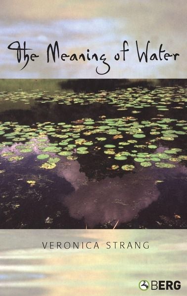 Produktbild: The Meaning of Water