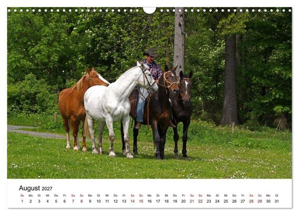Produktbild: Getragen von Pferden, geformt vom Land - COWBOYS und Cowgirls (Wandkalender 2027 DIN A3 quer), CALVENDO Monatskalender