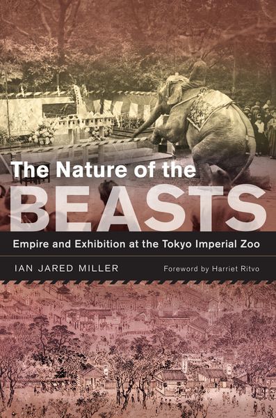 Produktbild: The Nature of the Beasts