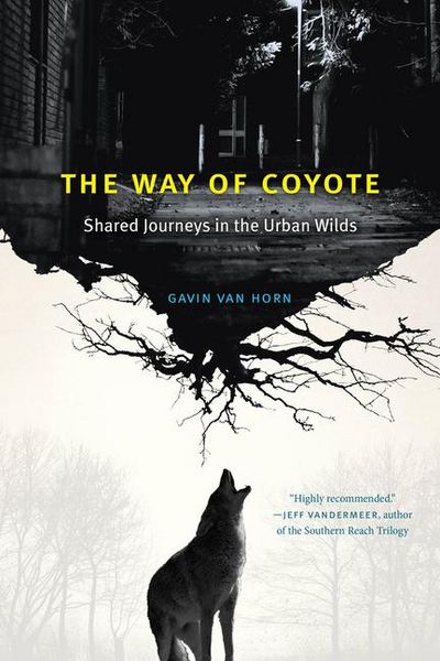 Produktbild: The Way of Coyote