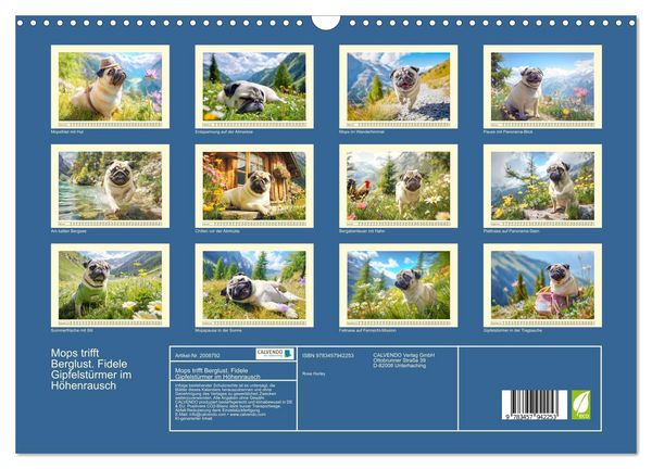 Produktbild: Mops trifft Berglust. Fidele Gipfelst&uuml;rmer im H&ouml;henrausch (Wandkalender 2026 DIN A3 quer), CALVENDO Monatskalender