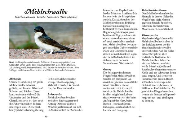 Produktbild: Das kleine Buch: Singv&ouml;gel