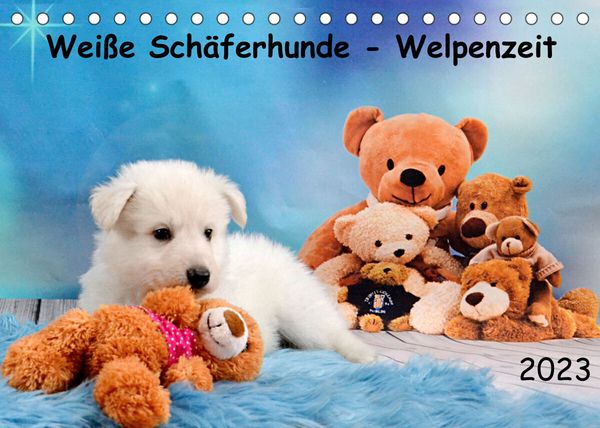 Weiße Schäferhunde – Welpenzeit (Tischkalender 2023 DIN A5 quer)
