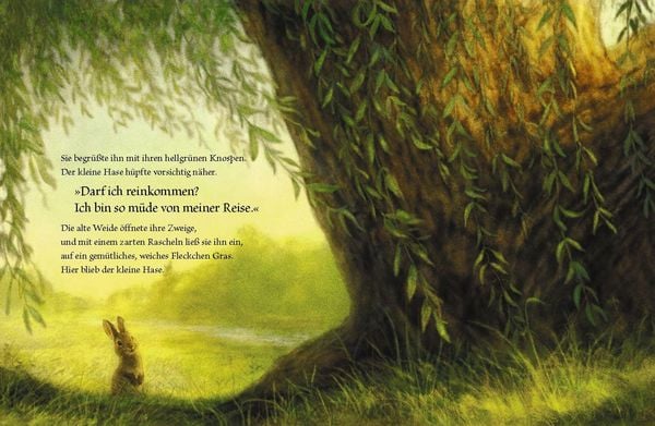 Produktbild: Der kleine Hase und die alte Weide