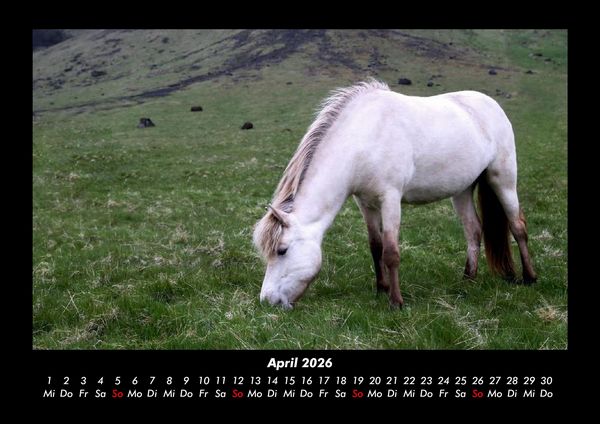 Produktbild: Pferdegefl&uuml;ster 2026 Fotokalender DIN A3