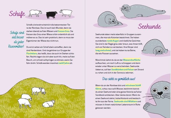 Produktbild: Nordsee for kids