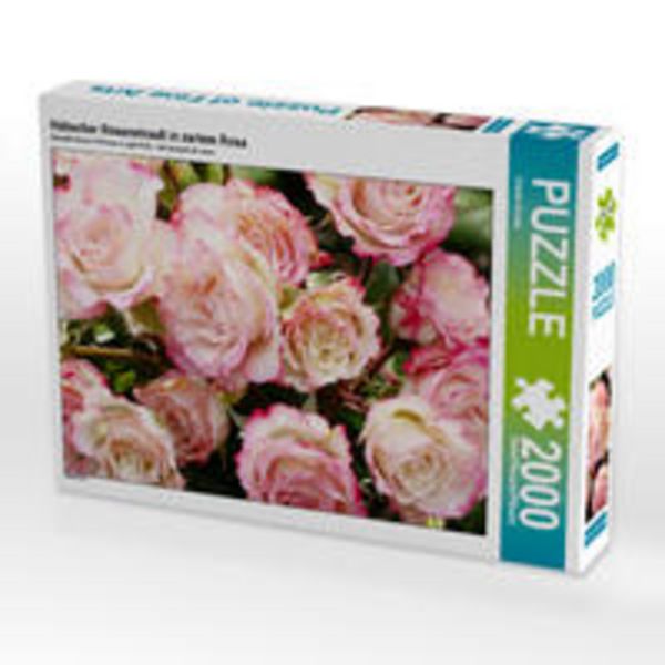 CALVENDO Puzzle Hübscher Rosenstrauß in zartem Rosa | 2000 Teile Lege-Größe 90x67cm Foto-Puzzle für glückliche Stunden