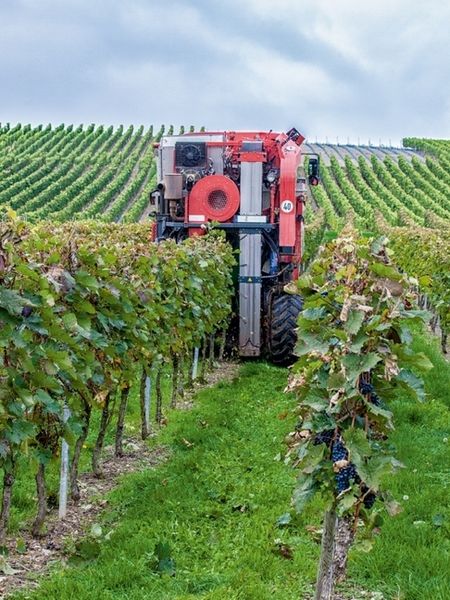 Produktbild: CALVENDO Puzzle Vollernter bei der Weinlese | 1000 Teile Lege-Gr&ouml;&szlig;e 64x48cm Foto-Puzzle f&uuml;r gl&uuml;ckliche Stunden