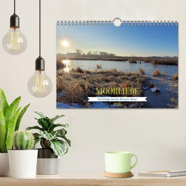 Produktbild: Moortr&auml;ume - Natursch&ouml;nheit in Bildern (Wandkalender 2026 DIN A4 quer), CALVENDO Monatskalender