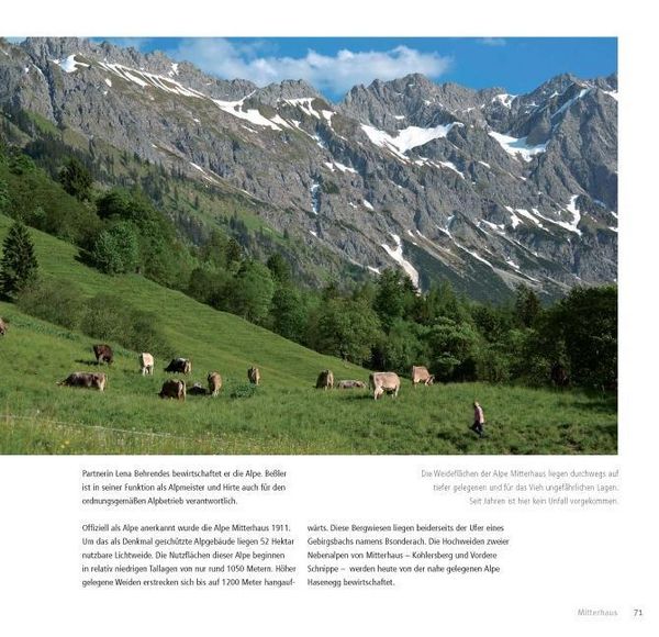 Produktbild: K&uuml;he. Menschen. Berge.