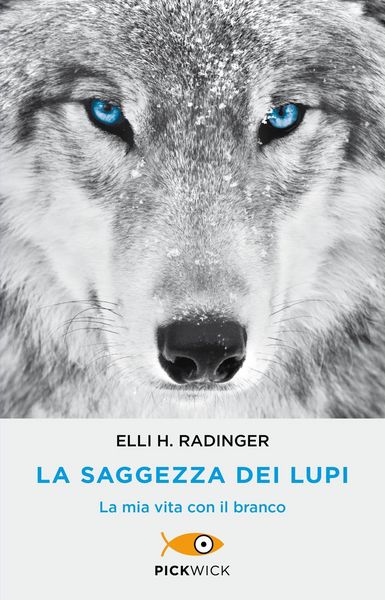 Produktbild: La saggezza dei lupi. La mia vita con il branco